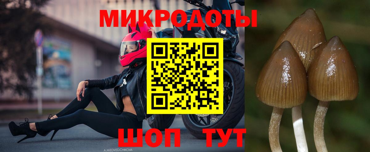 Брянск  Галлюциногенные грибы мицелий  Вход с VPN 